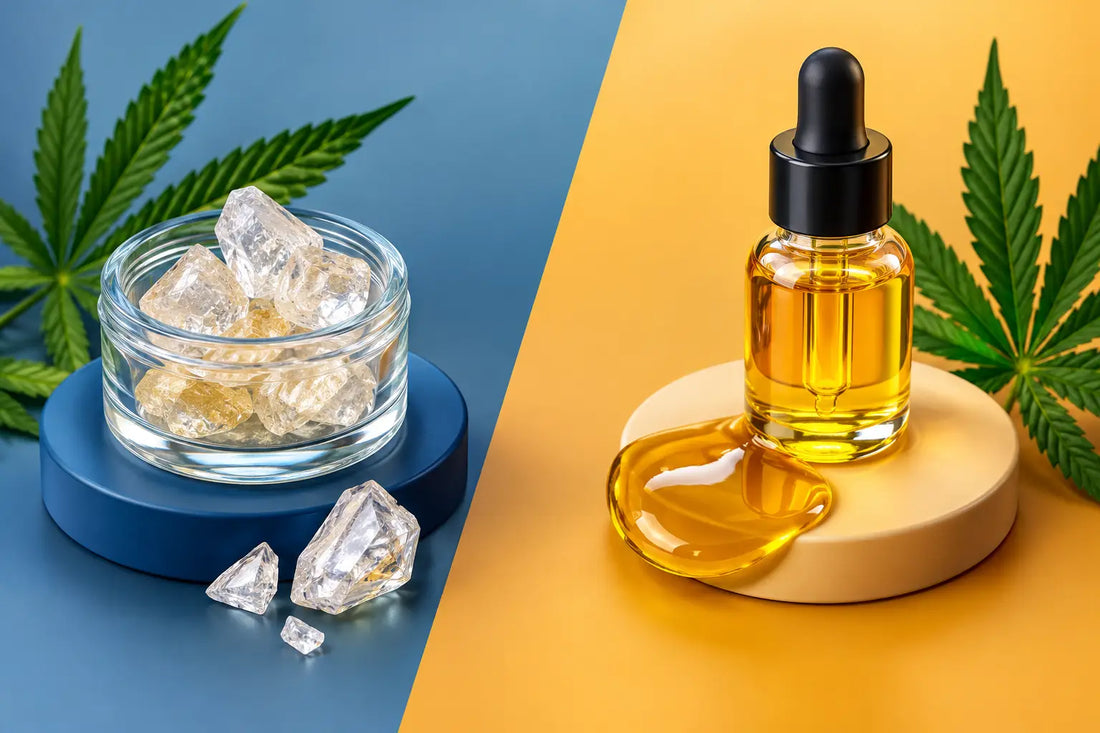 THCA Diamonds vs Distillate: Key Differences