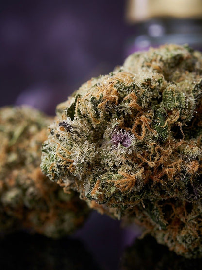 50g Grape Bubbelgum Topskud 30% THC-A excotic indoor strain
